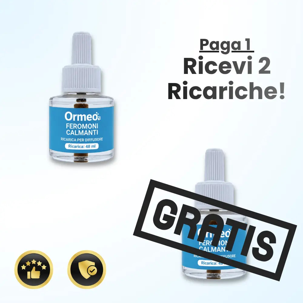 1 Ricarica+1 GRATIS