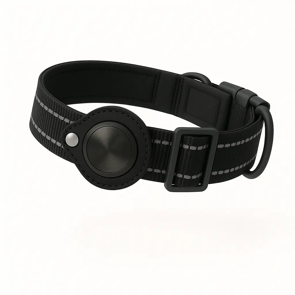 Localizzatore + Collare