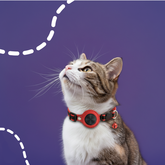 OrmeoCollar™- Localizzatore per Gatti