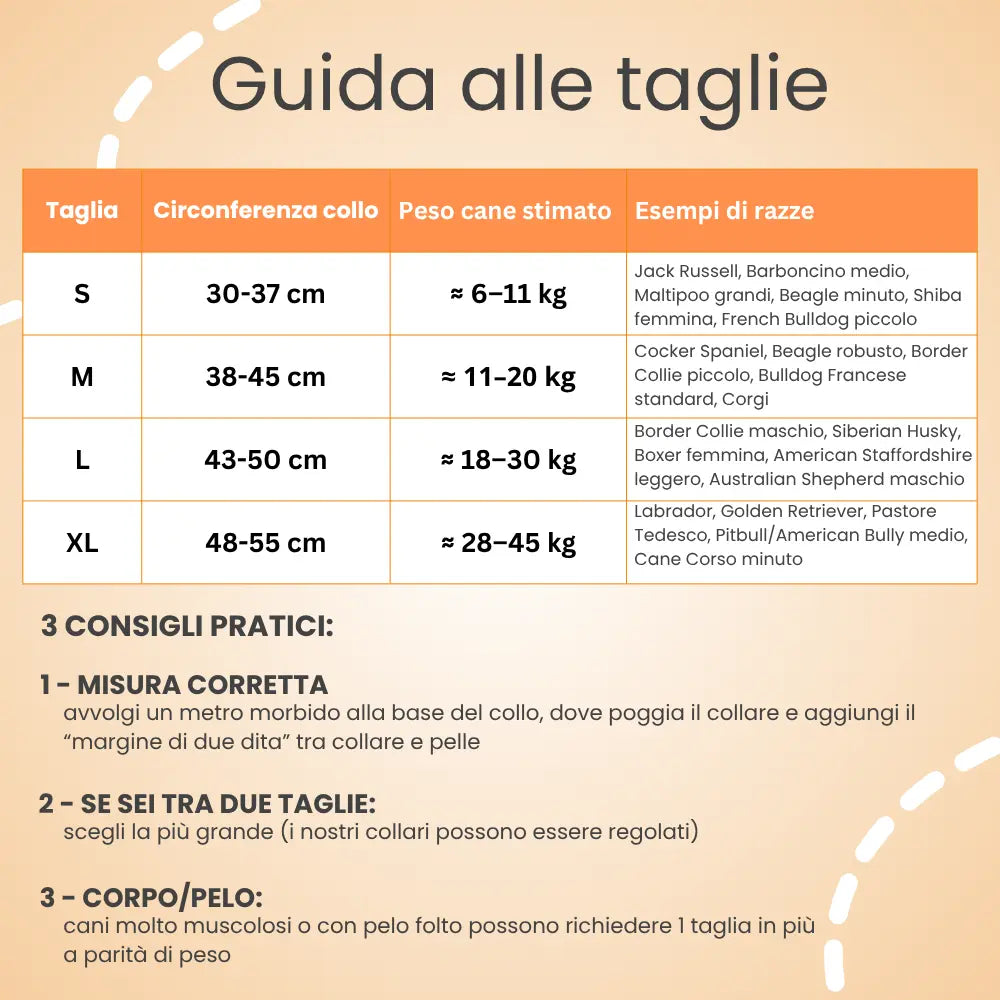 Localizzatore + Collare