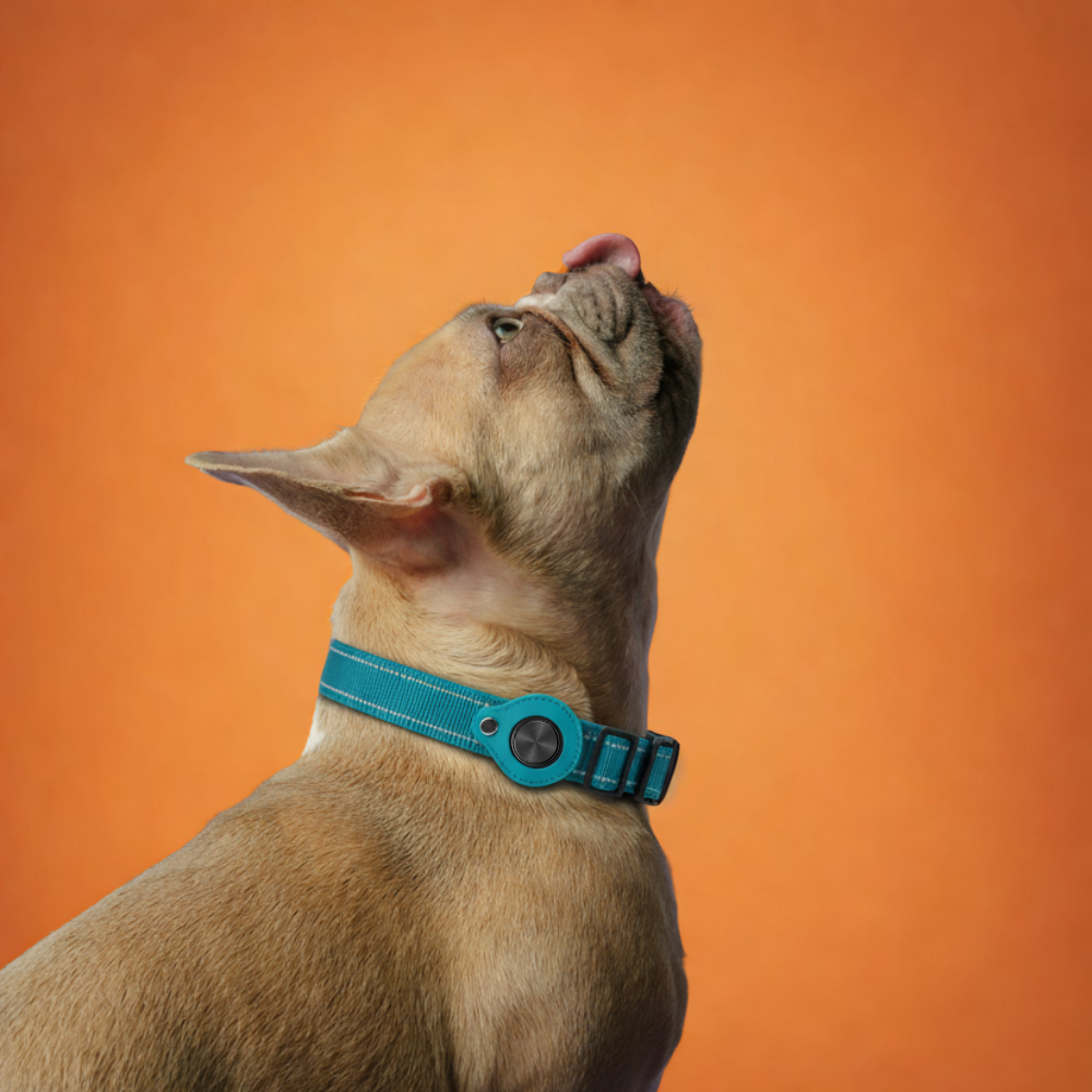 OrmeoCollar™- Localizzatore per Cani