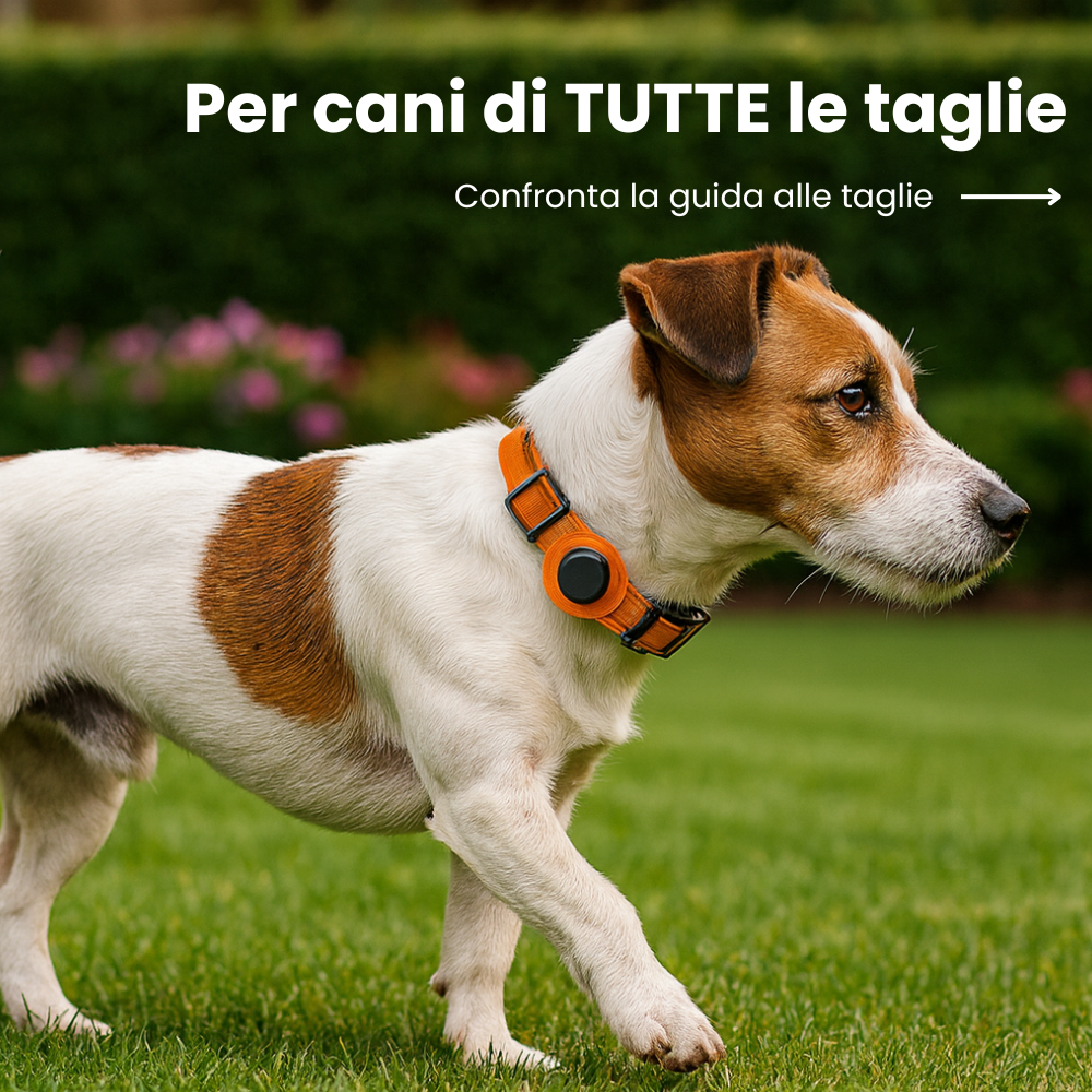 OrmeoCollar™- Localizzatore per Cani