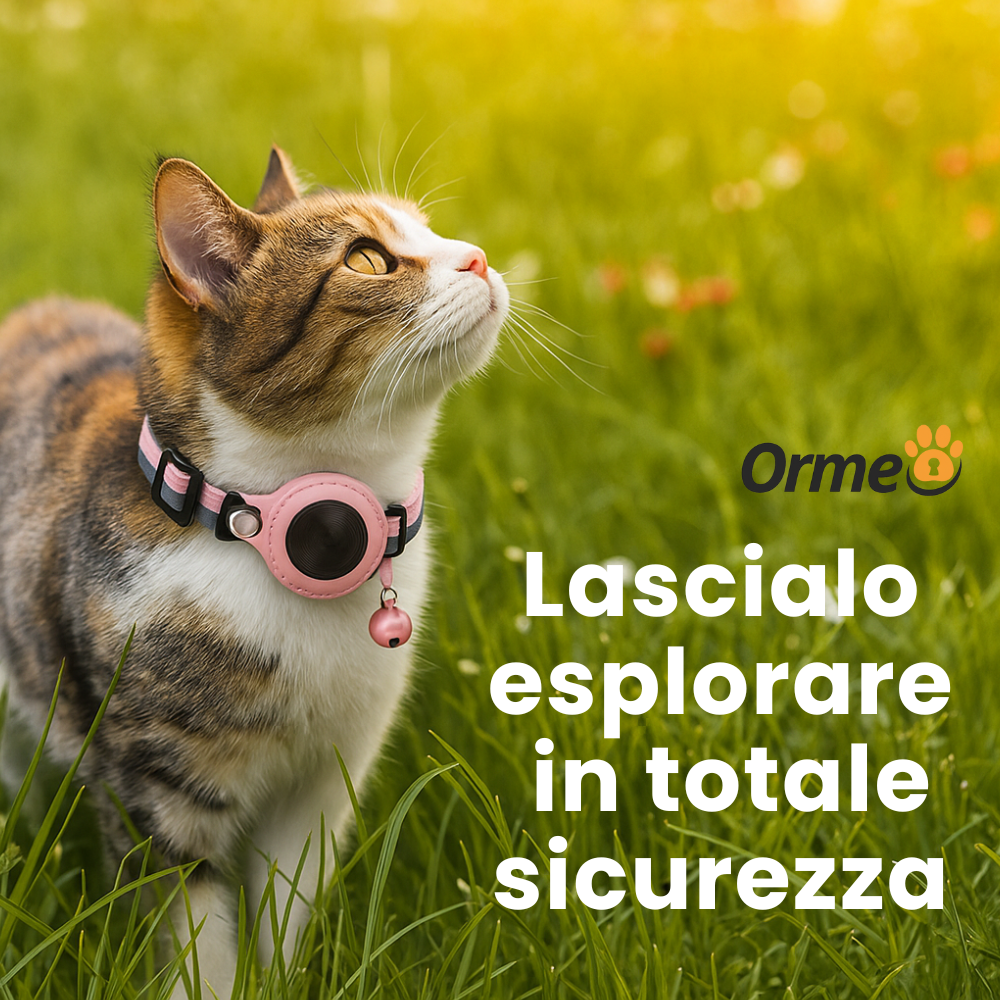OrmeoCollar™- Localizzatore per Gatti