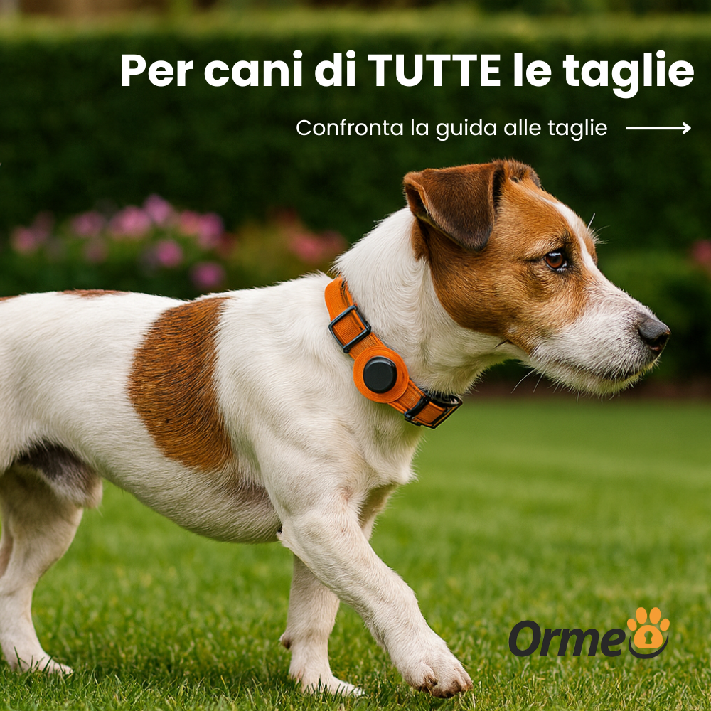 OrmeoCollar™- Localizzatore per Cani
